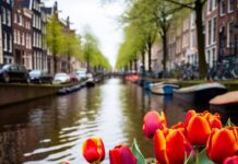 Ontsnap aan de drukte: ontdek rustige plekjes