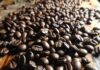 Ontdek de oorsprong van Italiaanse koffiebonen