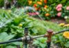De beste tips voor het installeren van een tuinirrigatiesysteem